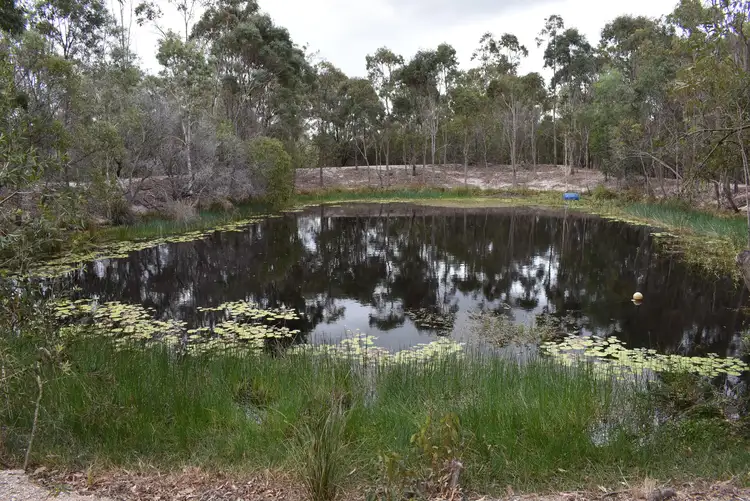 Fifth view of Homely house listing, 27 Ritchie Rd, Torbanlea QLD 4662