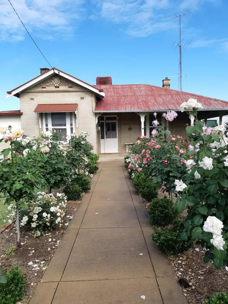 Main view of Homely house listing, 5 Fraser St, Culcairn NSW 2660