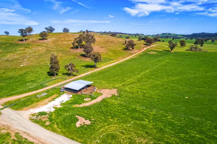 Second view of Homely rural property listing, 109 Newtons Road, Mullengandra NSW 2644