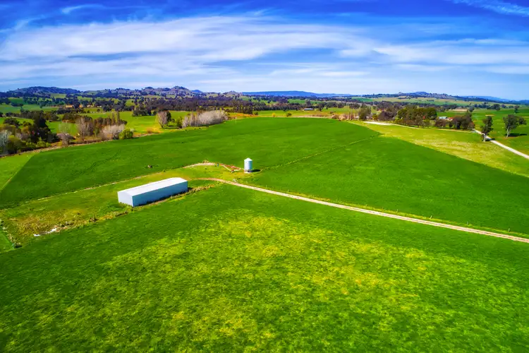 Third view of Homely rural property listing, 109 Newtons Road, Mullengandra NSW 2644