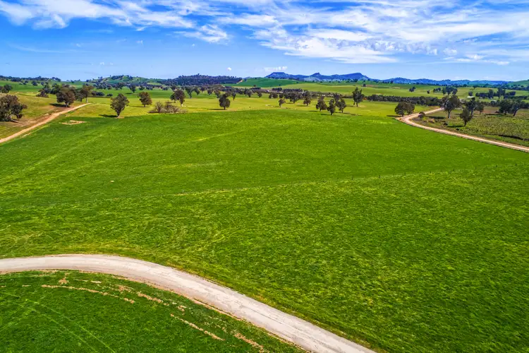 Fourth view of Homely rural property listing, 109 Newtons Road, Mullengandra NSW 2644