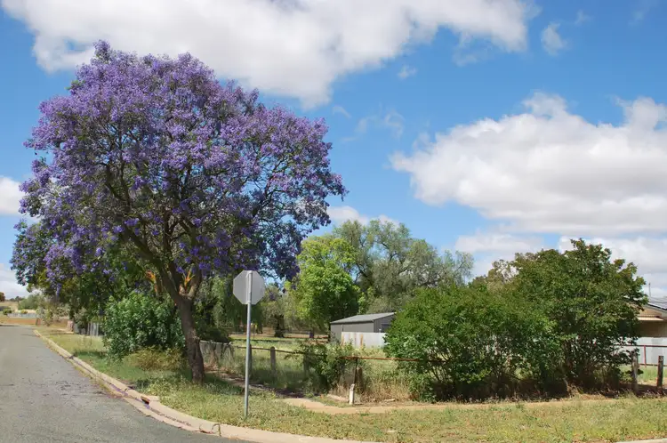 Main view of Homely land listing, 20 Queen Street, Dookie VIC 3646