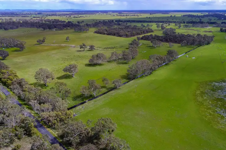 Main view of Homely rural property listing, 3629 Mount Burr Rd, Monbulla SA 5277