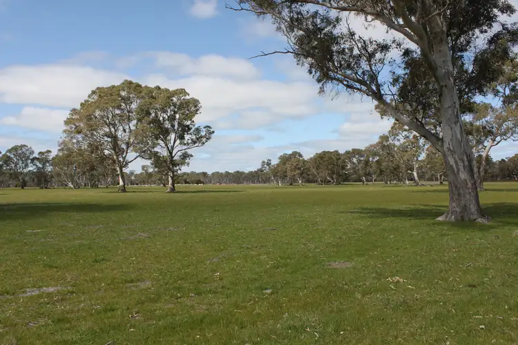 Third view of Homely rural property listing, 3629 Mount Burr Rd, Monbulla SA 5277