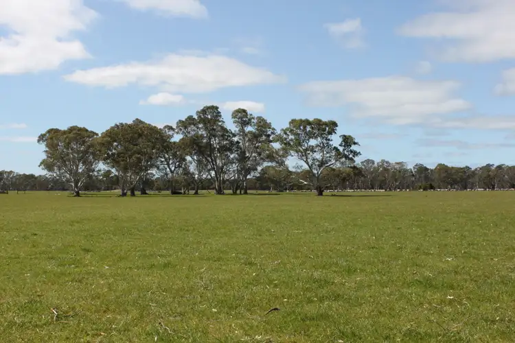 Fourth view of Homely rural property listing, 3629 Mount Burr Rd, Monbulla SA 5277