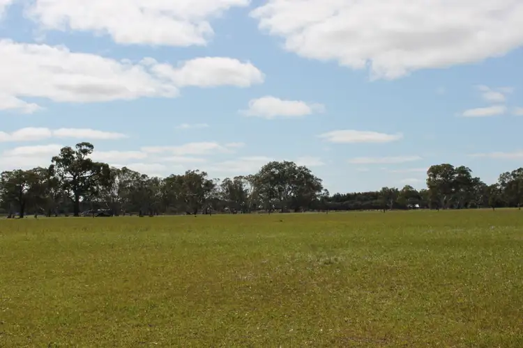 Sixth view of Homely rural property listing, 3629 Mount Burr Rd, Monbulla SA 5277