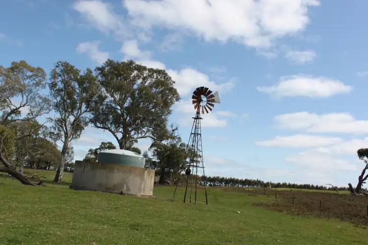 Seventh view of Homely rural property listing, 3629 Mount Burr Rd, Monbulla SA 5277