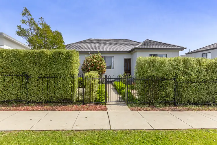 8/49 Donald Road, Queanbeyan NSW 2620