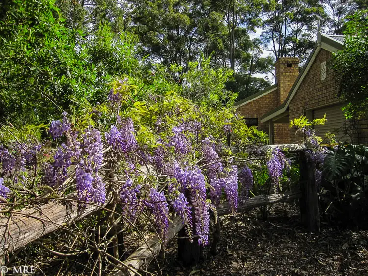 Second view of Homely house listing, 47 Obi Obi Rd, Mapleton QLD 4560
