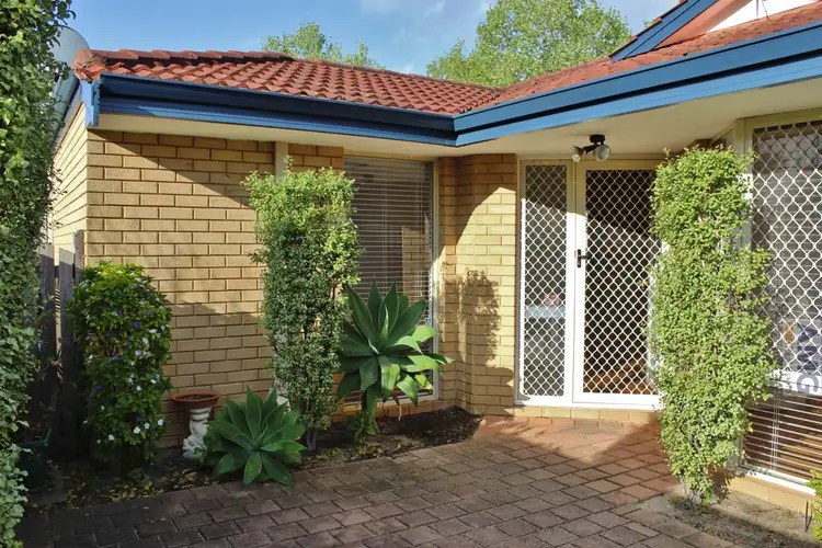 4B Tipuana Grn, O'connor WA 6163