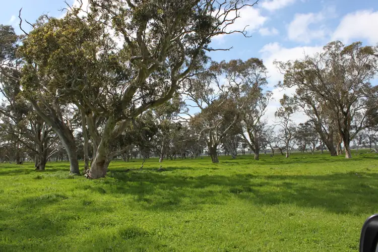 Second view of Homely rural property listing, Allotment 10 Mount Burr Road, Monbulla SA 5277