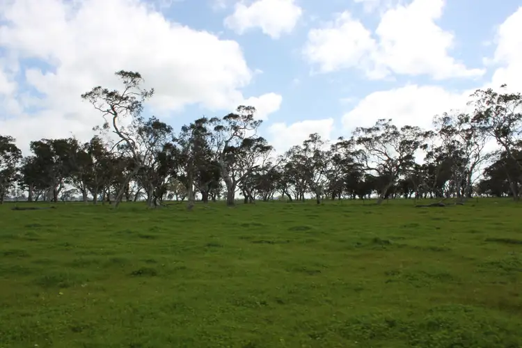 Third view of Homely rural property listing, Allotment 10 Mount Burr Road, Monbulla SA 5277
