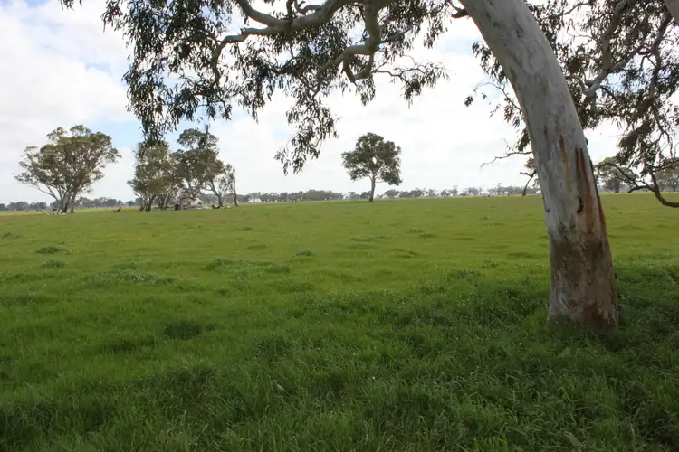 Seventh view of Homely rural property listing, Allotment 10 Mount Burr Road, Monbulla SA 5277