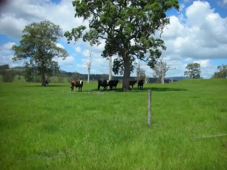 Third view of Homely rural property listing, 483 Tabulam Road, Tabulam NSW 2469