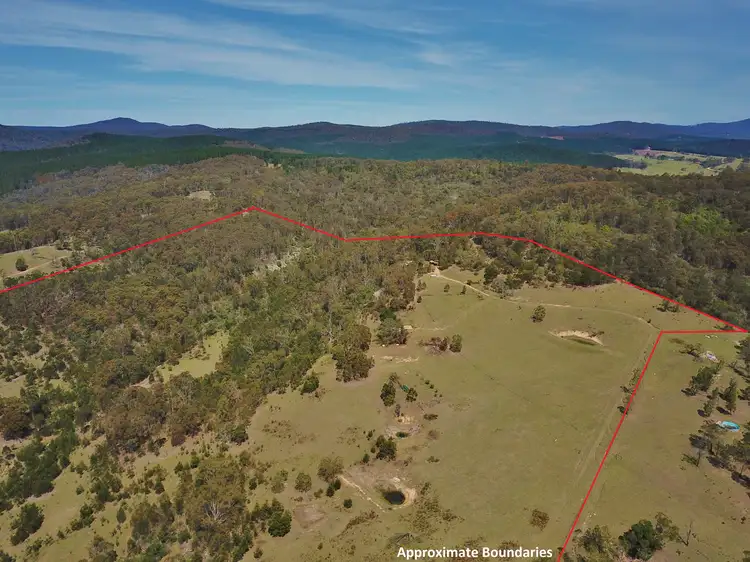 Second view of Homely rural property listing, 185 Pericoe Rd, Towamba NSW 2550