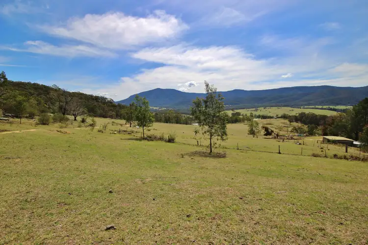 Fourth view of Homely rural property listing, 185 Pericoe Rd, Towamba NSW 2550
