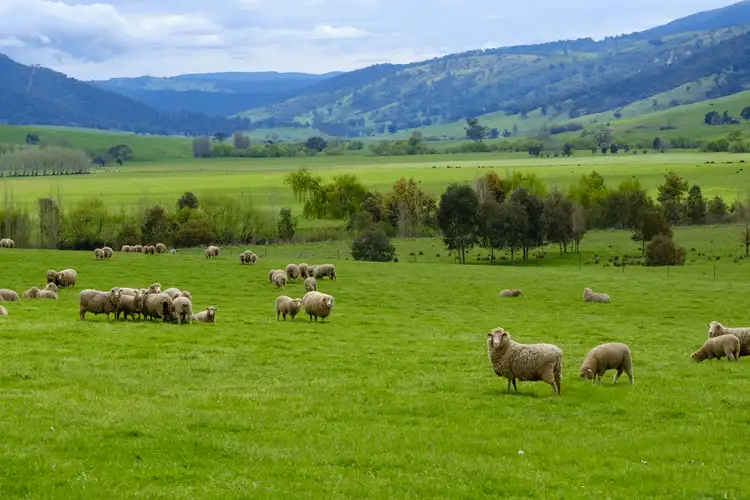 Second view of Homely rural property listing, 211 Lower Mannus Creek Road, Tooma NSW 2642
