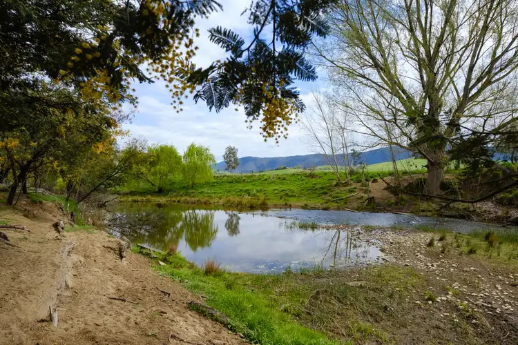 Third view of Homely rural property listing, 211 Lower Mannus Creek Road, Tooma NSW 2642