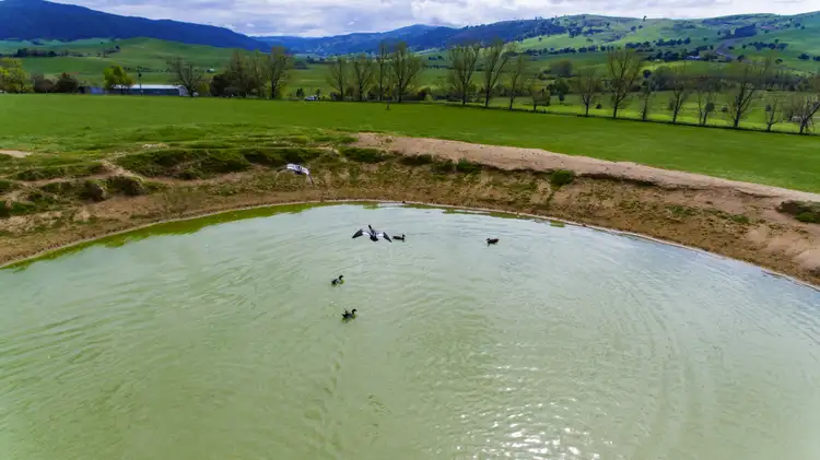 Fifth view of Homely rural property listing, 211 Lower Mannus Creek Road, Tooma NSW 2642