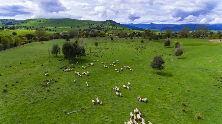 Seventh view of Homely rural property listing, 211 Lower Mannus Creek Road, Tooma NSW 2642