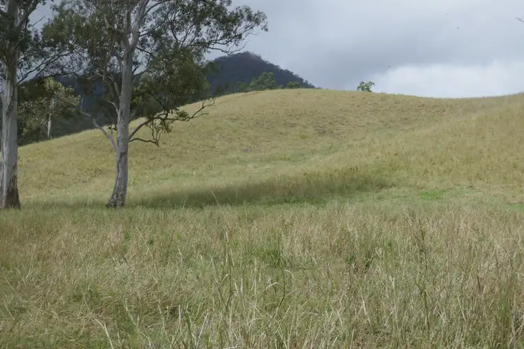 Sixth view of Homely rural property listing, LOT 1 Summerland Way, Kyogle NSW 2474