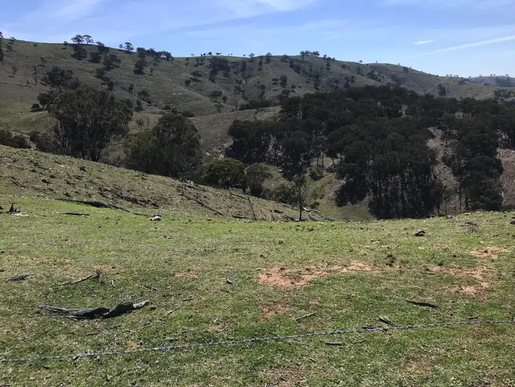 Second view of Homely rural property listing, 405 Old Crudine Rd, Crudine NSW 2795