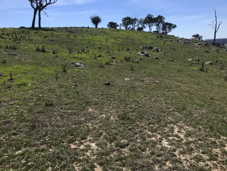 Seventh view of Homely rural property listing, 405 Old Crudine Rd, Crudine NSW 2795