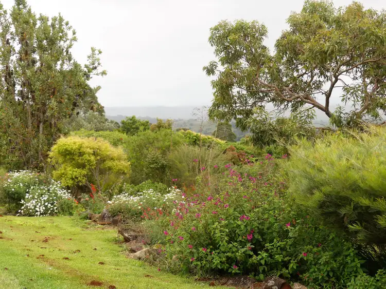 Fourth view of Homely studio listing, 14a Palmers Rd, Mcleans Ridges NSW 2480