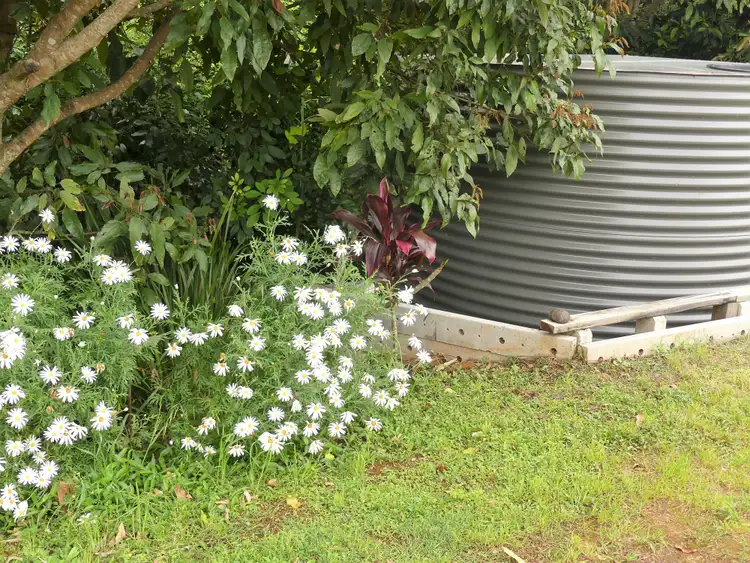 Fifth view of Homely studio listing, 14a Palmers Rd, Mcleans Ridges NSW 2480