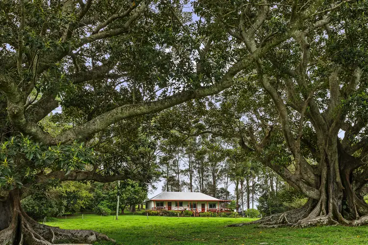 80 Emigrant Crossing, Brooklet NSW 2479