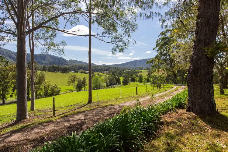 135 Helliwells Rd, Missabotti NSW 2449