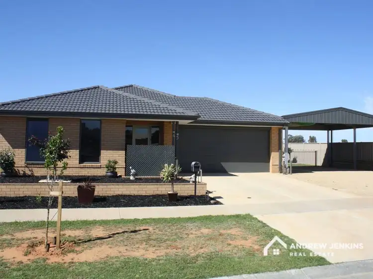 Main view of Homely house listing, 45 Bisogni Dr, Cobram VIC 3644