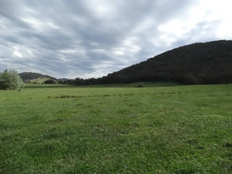 Seventh view of Homely rural property listing, 271 Granya Road, Bullioh VIC 3700