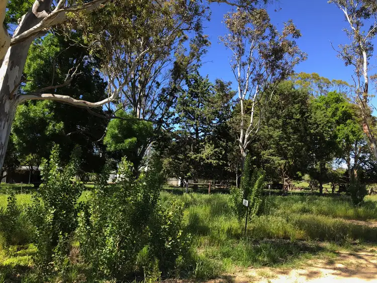 Second view of Homely rural property listing, 116 Hetherington Rd, Penola SA 5277