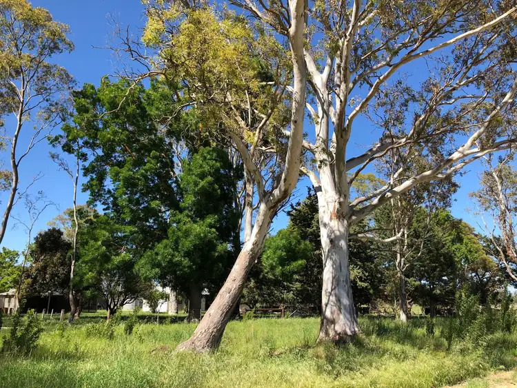 Third view of Homely rural property listing, 116 Hetherington Rd, Penola SA 5277