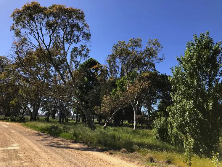 Fourth view of Homely rural property listing, 116 Hetherington Rd, Penola SA 5277