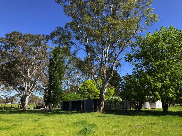 Sixth view of Homely rural property listing, 116 Hetherington Rd, Penola SA 5277