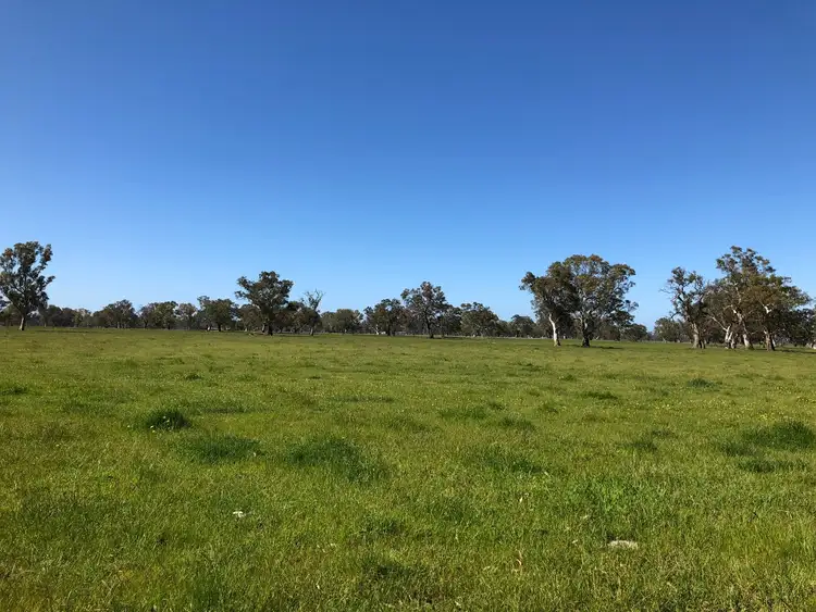 Seventh view of Homely rural property listing, 116 Hetherington Rd, Penola SA 5277