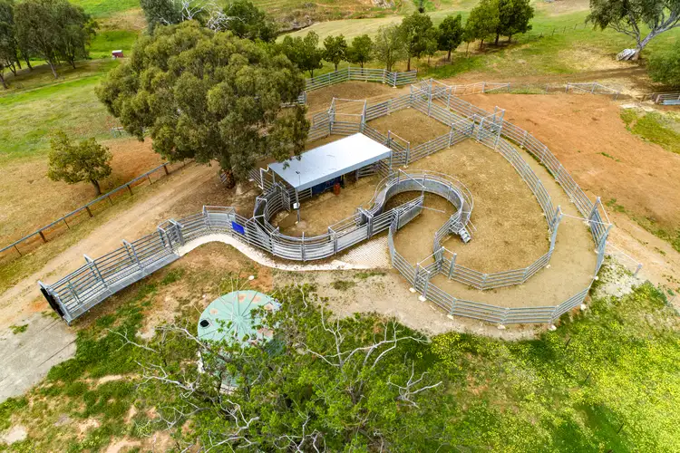 Seventh view of Homely rural property listing, 115 Sweetwater Rd, Mullengandra NSW 2644
