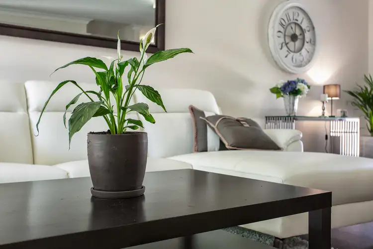 Fifth view of Homely townhouse listing, 10 Namatjira Pl, Leederville WA 6007