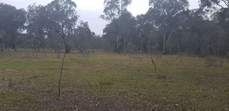 Fourth view of Homely rural property listing, 52 Masons Gap Road, Indigo Valley VIC 3688