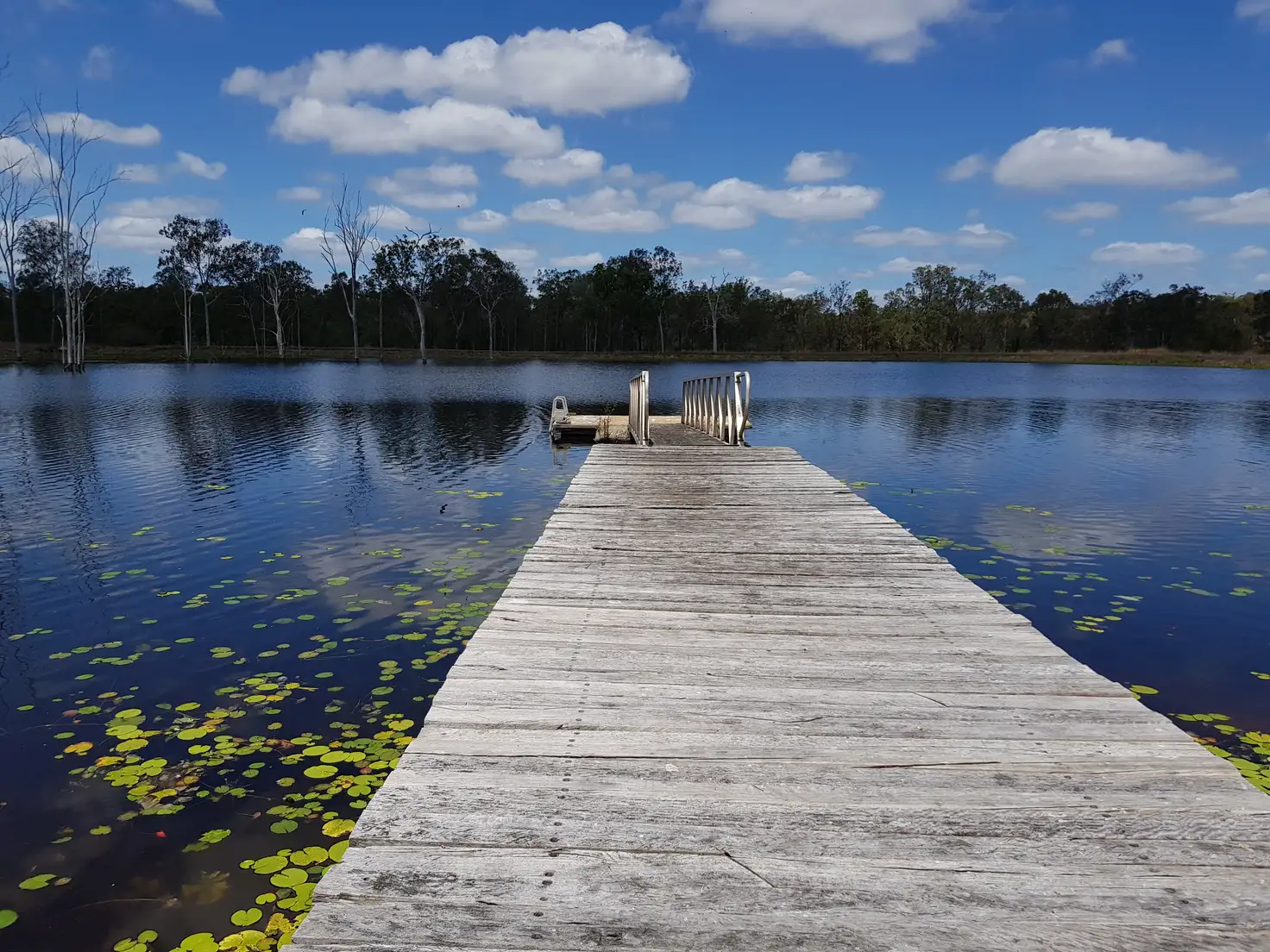 Main view of Homely rural property listing, 608 Berries Road, Golden Fleece QLD 4621
