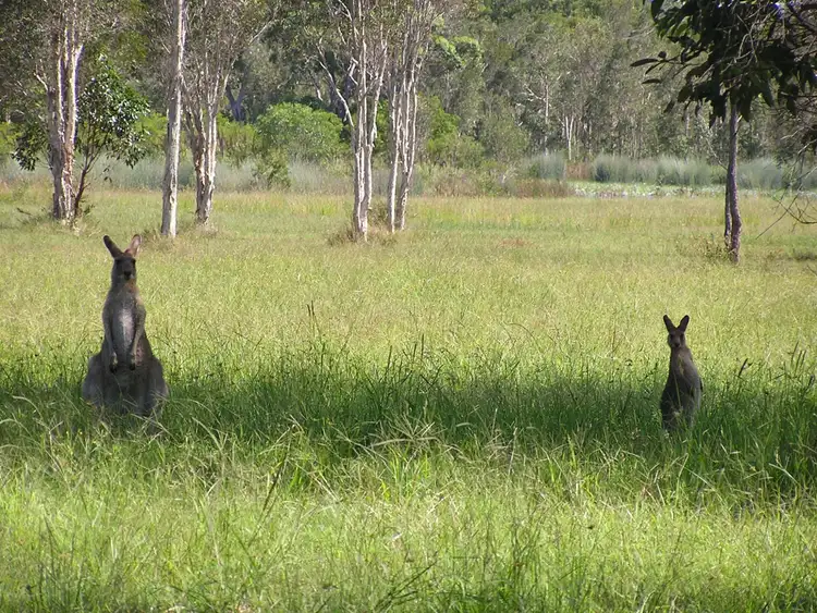 Fifth view of Homely land listing, L78 Lancaster Lane, Cooroibah QLD 4565