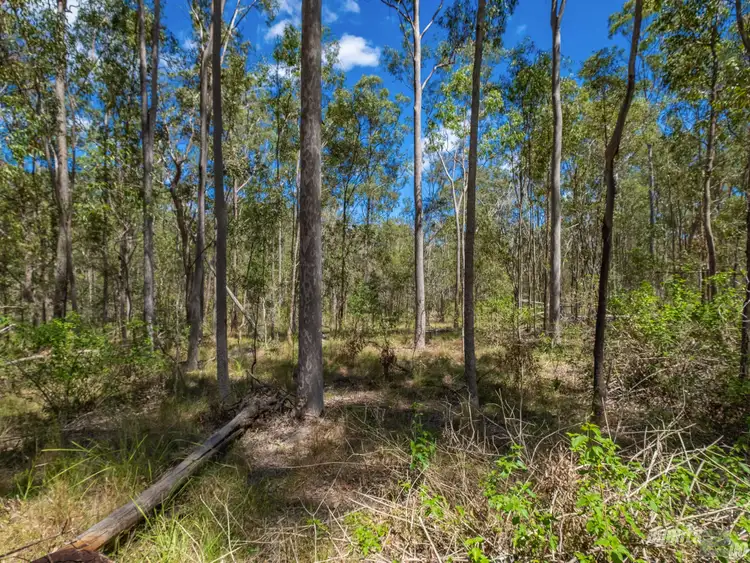 Fifth view of Homely rural property listing, Lot 32 Baloghs Road, Anderleigh QLD 4570