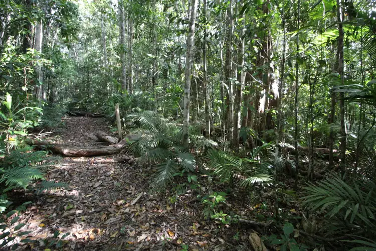 Second view of Homely land listing, RN58 Marshall Road, Yungaburra QLD 4884