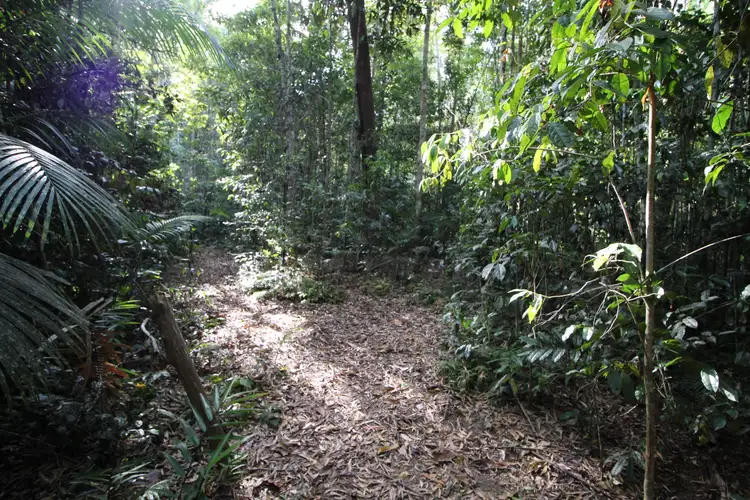 Third view of Homely land listing, RN58 Marshall Road, Yungaburra QLD 4884