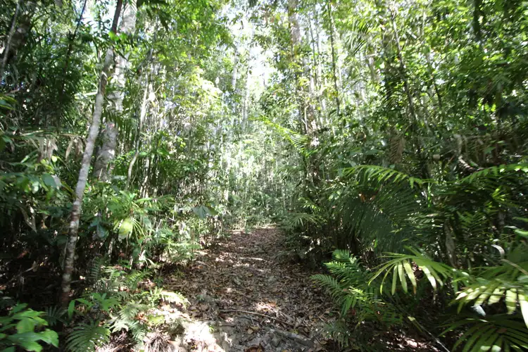 Fourth view of Homely land listing, RN58 Marshall Road, Yungaburra QLD 4884