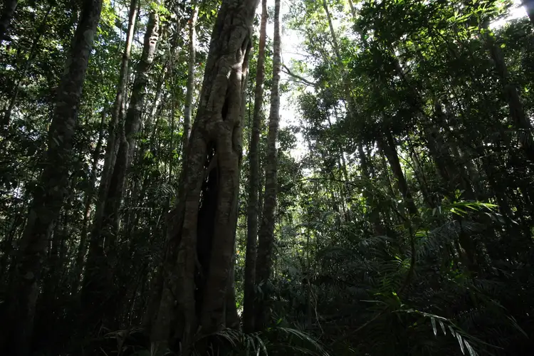 Fifth view of Homely land listing, RN58 Marshall Road, Yungaburra QLD 4884