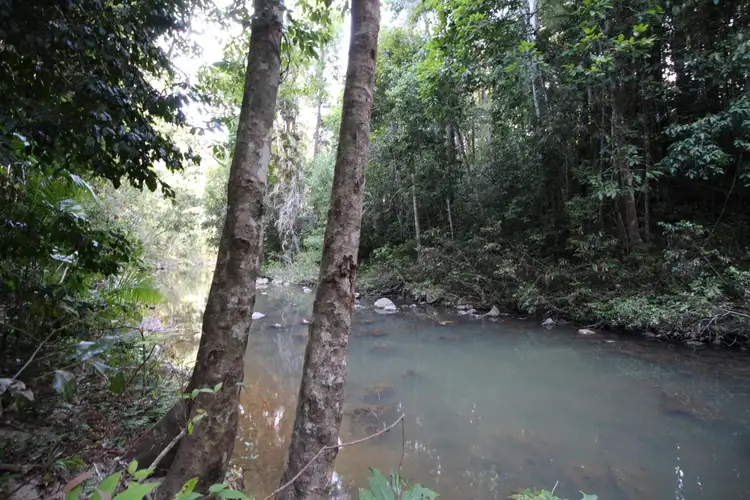 Sixth view of Homely land listing, RN58 Marshall Road, Yungaburra QLD 4884