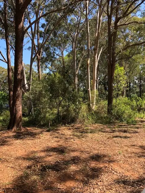 9 COWDEROY DVE, Russell Island QLD 4184